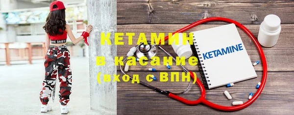 шишки Абаза