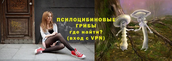 не бодяженный Алексин